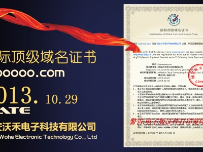西安沃禾电子科技有限公司国际域名