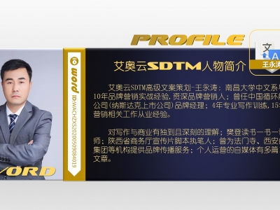 沃禾科技SDTM网络运营文案策划王永涛